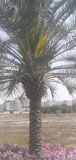 Palm tree in urban landscape with flowers