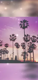 Silhouetted palm trees against a purple sunset.