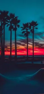 Silhouetted palm trees against a vivid teal sunset sky.