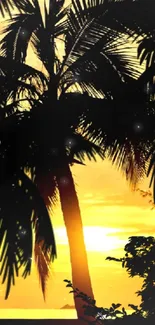 Golden sunset with palm tree silhouettes creating a serene tropical scene.