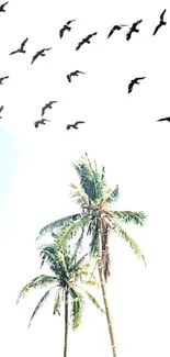 Wallpaper with palm trees and flying birds against a sky blue background.