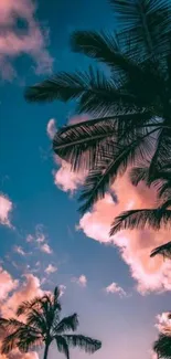 Palm trees silhouetted against a vibrant pink and blue sunset sky.