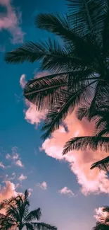 Palm trees silhouetted against pink sunset sky.