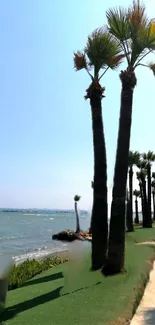 Palm trees overlooking a blue ocean on a sunny day.