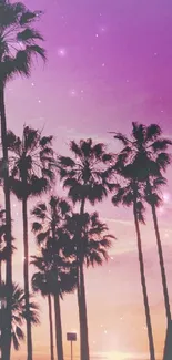 Silhouetted palm trees against a vibrant sunset sky with purple and pink hues.