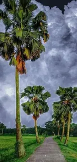 Palm trees align under a dramatic cloudy sky in a green field mobile wallpaper.