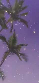 Palm trees silhouetted against a starry purple sky.