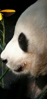 Calm panda munching bamboo with a delicate butterfly nearby.