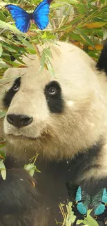 A panda surrounded by bamboo with blue butterflies nearby.