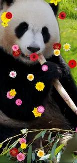 Panda surrounded by colorful flowers, eating bamboo.