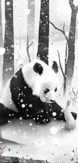 Black and white wallpaper with panda and rabbit in a peaceful forest scene.