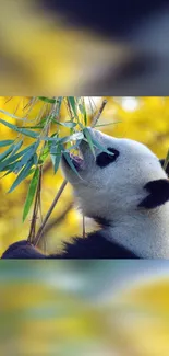 Panda eating bamboo with yellow floral background.