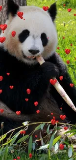 Panda sitting on grass eating bamboo shoot in a lush green setting.