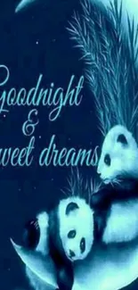 Pandas resting on a crescent moon with 'Goodnight & sweet dreams' text.