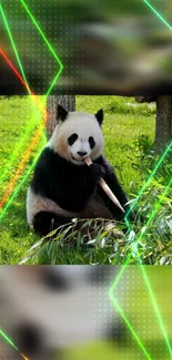 Panda munching bamboo amidst green laser beams.