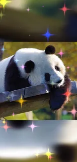 Cute panda on a branch with colorful sparkling lights in nature.