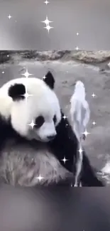 Panda White Light Live Wallpaper