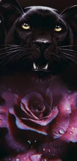 Black panther above a purple and pink rose on phone wallpaper.