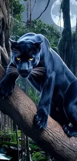 Black panther perched on a tree in a moonlit forest night scene.