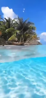 Stunning tropical beach with palm trees and crystal clear ocean.