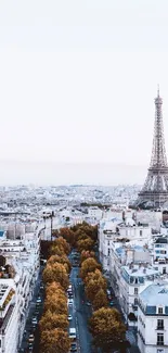 Aerial view of Paris featuring the Eiffel Tower with a blue sky backdrop.