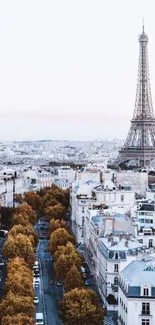 Mobile wallpaper featuring the Eiffel Tower in Paris with cityscape.