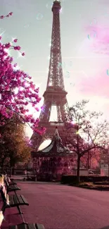 Eiffel Tower with pink blossoms in Paris.