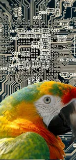 Colorful parrot on a detailed circuit board background.