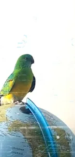 Vibrant parrot perched on globe with white background.