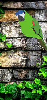 Parrot perched on ivy-covered stone wall.