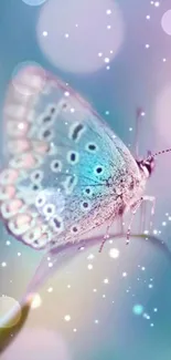 Delicate pastel butterfly on dreamy bokeh background.