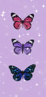 Vibrant butterfly wallpaper with stars on purple background.