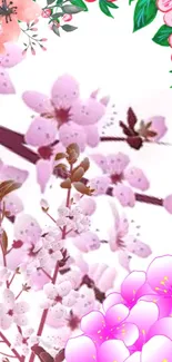 Pastel cherry blossom wallpaper with pink flowers and green leaves.