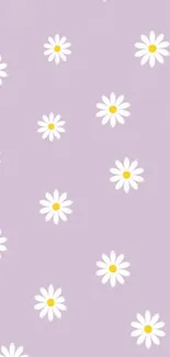 Pastel purple wallpaper with white daisies.