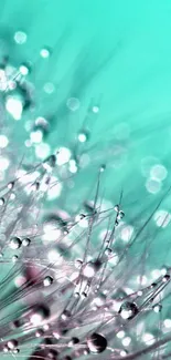 Abstract turquoise wallpaper with dewdrops.