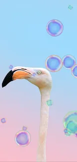 Flamingo with a pastel pink and blue gradient background.