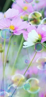 Pastel pink flowers and bubbles wallpaper.