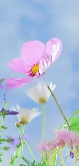 Pastel wildflowers against a soft blue sky in a serene wallpaper design.