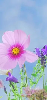 Pastel flowers with blue sky background on wallpaper.