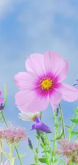 Pastel flowers with a blue sky background, perfect for a calming phone wallpaper.