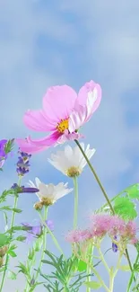 Floral phone wallpaper with pastel flowers against a soft blue sky.