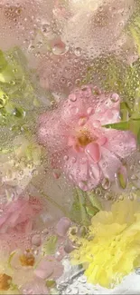 Pastel floral wallpaper with water droplets and pink, yellow flowers.