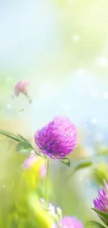 Mobile wallpaper featuring pink clover flowers in a soft pastel background.