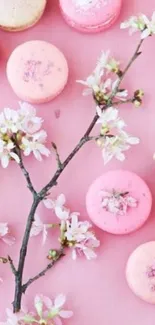 Pastel macarons with cherry blossoms on pink background wallpaper.