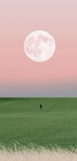 Serene wallpaper with full moon over pastel green fields.