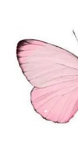 Elegant pastel pink butterfly on minimal white background.