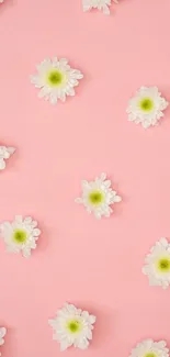 Pastel pink wallpaper with white daisies.