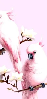 Two pastel pink parrots perched on branches with white flowers.