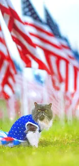 Cat wearing stars and stripes in a field of American flags.