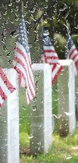 American flags on headstones in a cemetery.